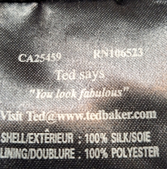 Ted Baker Cocktail/Formal Dress Size 0 - Picture 8 of 9